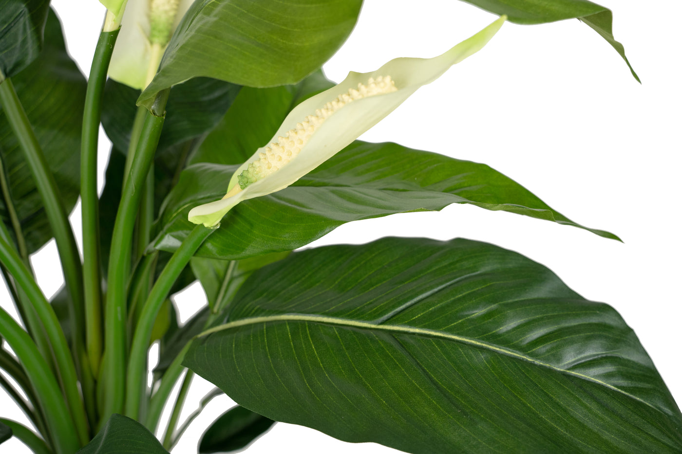 Spathiphyllum artificial cu flori albe De Luxe H73 cm