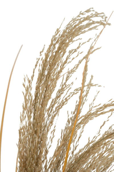 Spic iarba artificiala 110 cm cu 1 floare naturala de pampas bej