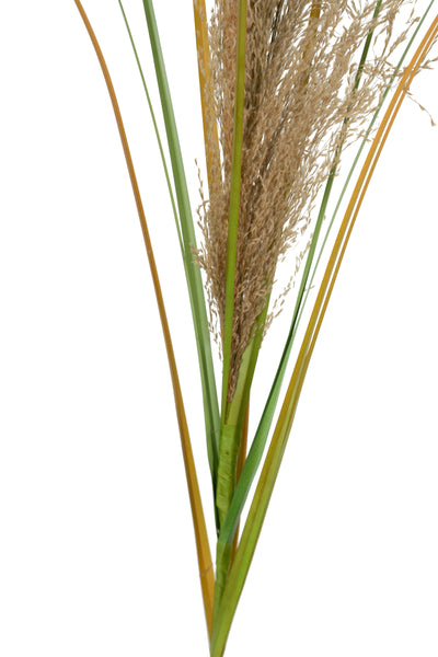 Spic iarba artificiala 110 cm cu 1 floare naturala de pampas bej