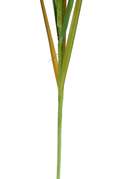 Spic iarba artificiala 110 cm cu 1 floare naturala de pampas bej