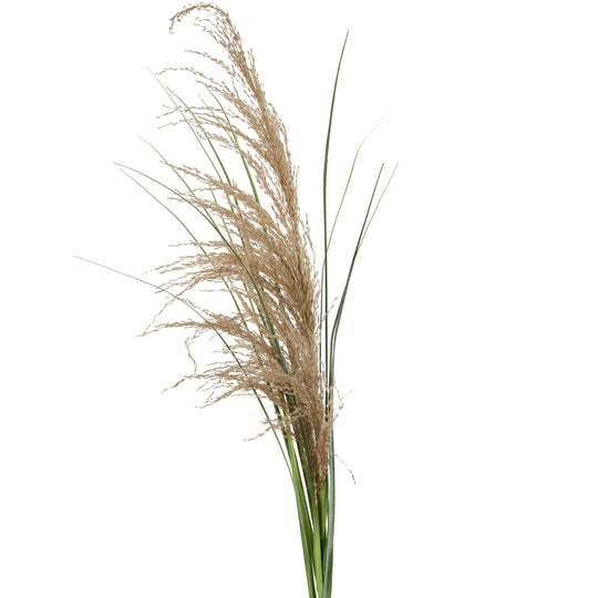 Spic iarba artificiala 110 cm cu 1 floare naturala de pampas bej deschis