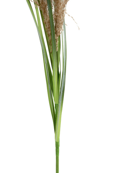 Spic iarba artificiala 110 cm cu 1 floare naturala de pampas bej deschis
