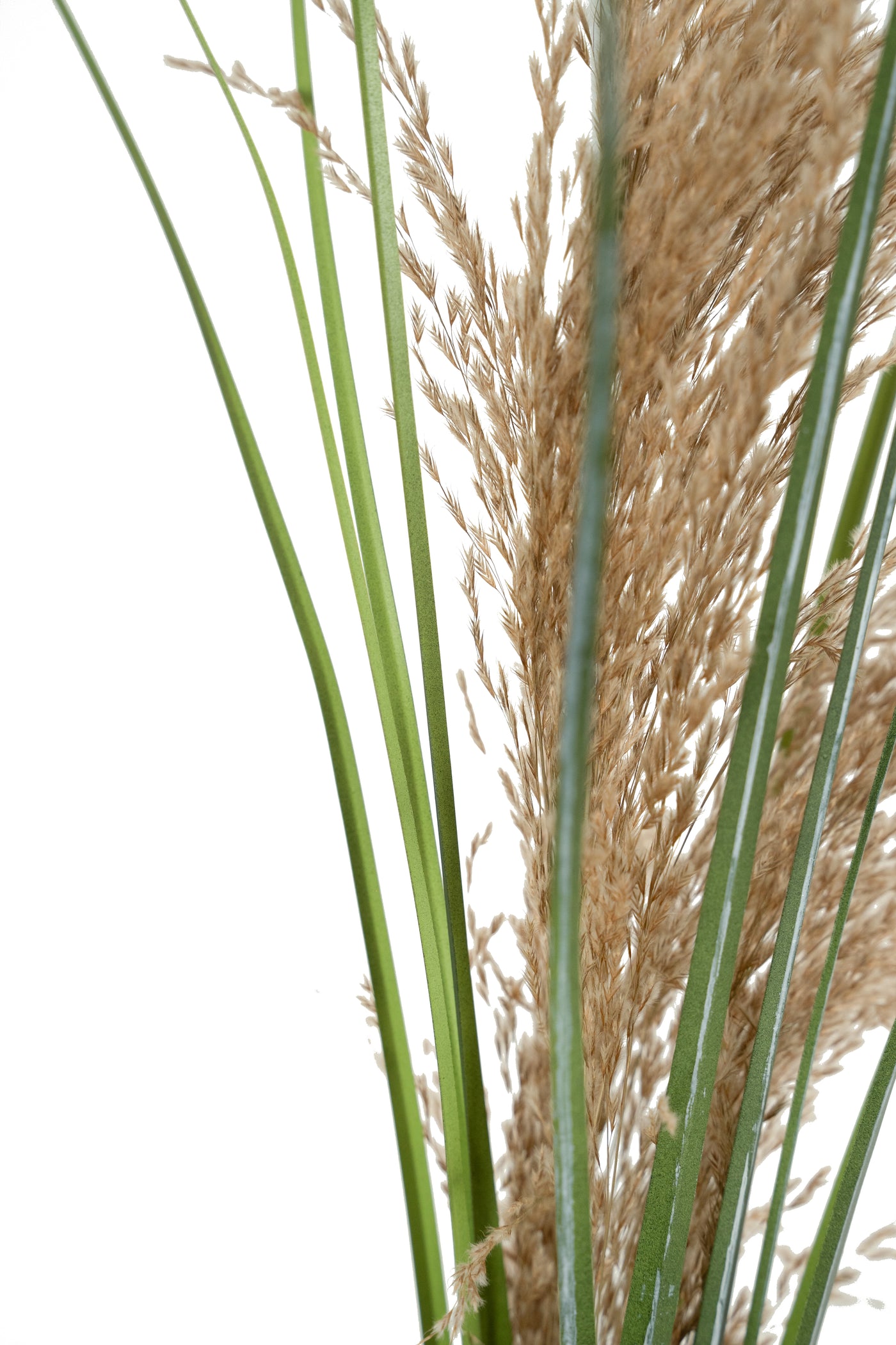 Spic iarba artificiala 110 cm cu 1 floare naturala de pampas bej deschis