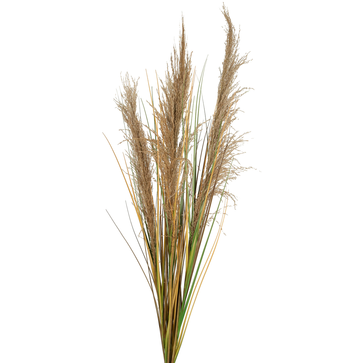 Spic iarba artificiala 120 cm cu 3 flori naturala de pampas bej