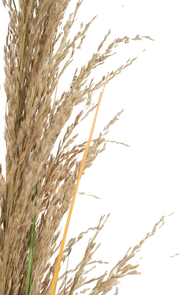 Spic iarba artificiala 120 cm cu 3 flori naturala de pampas bej