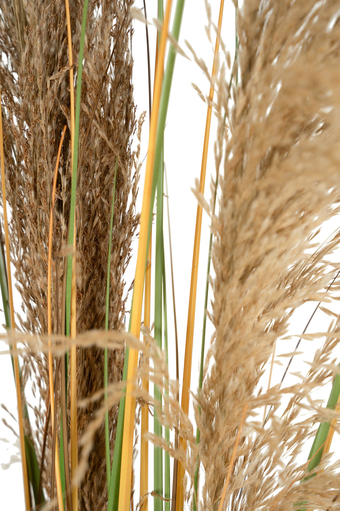 Spic iarba artificiala 120 cm cu 3 flori naturala de pampas bej