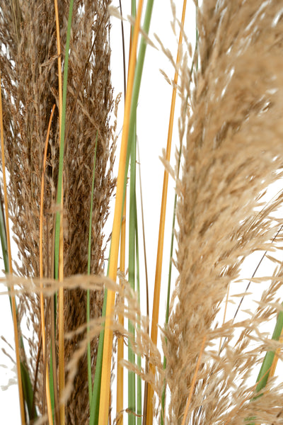 Spic iarba artificiala 120 cm cu 3 flori naturala de pampas bej