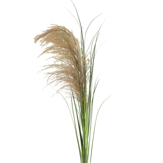 Spic iarba artificiala 140 cm cu 1 floare naturala de pampas bej deschis