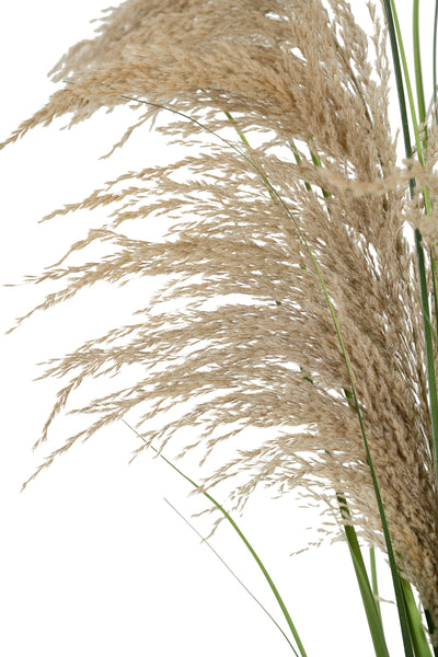 Spic iarba artificiala 140 cm cu 1 floare naturala de pampas bej deschis