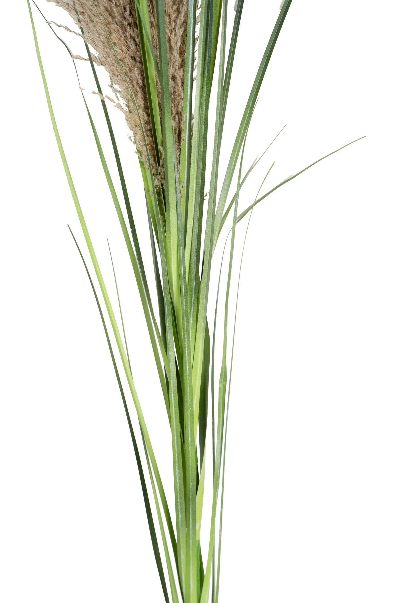 Spic iarba artificiala 140 cm cu 1 floare naturala de pampas bej deschis