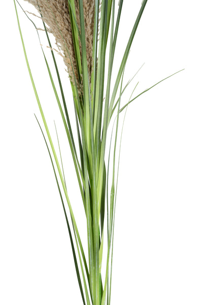 Spic iarba artificiala 140 cm cu 1 floare naturala de pampas bej deschis