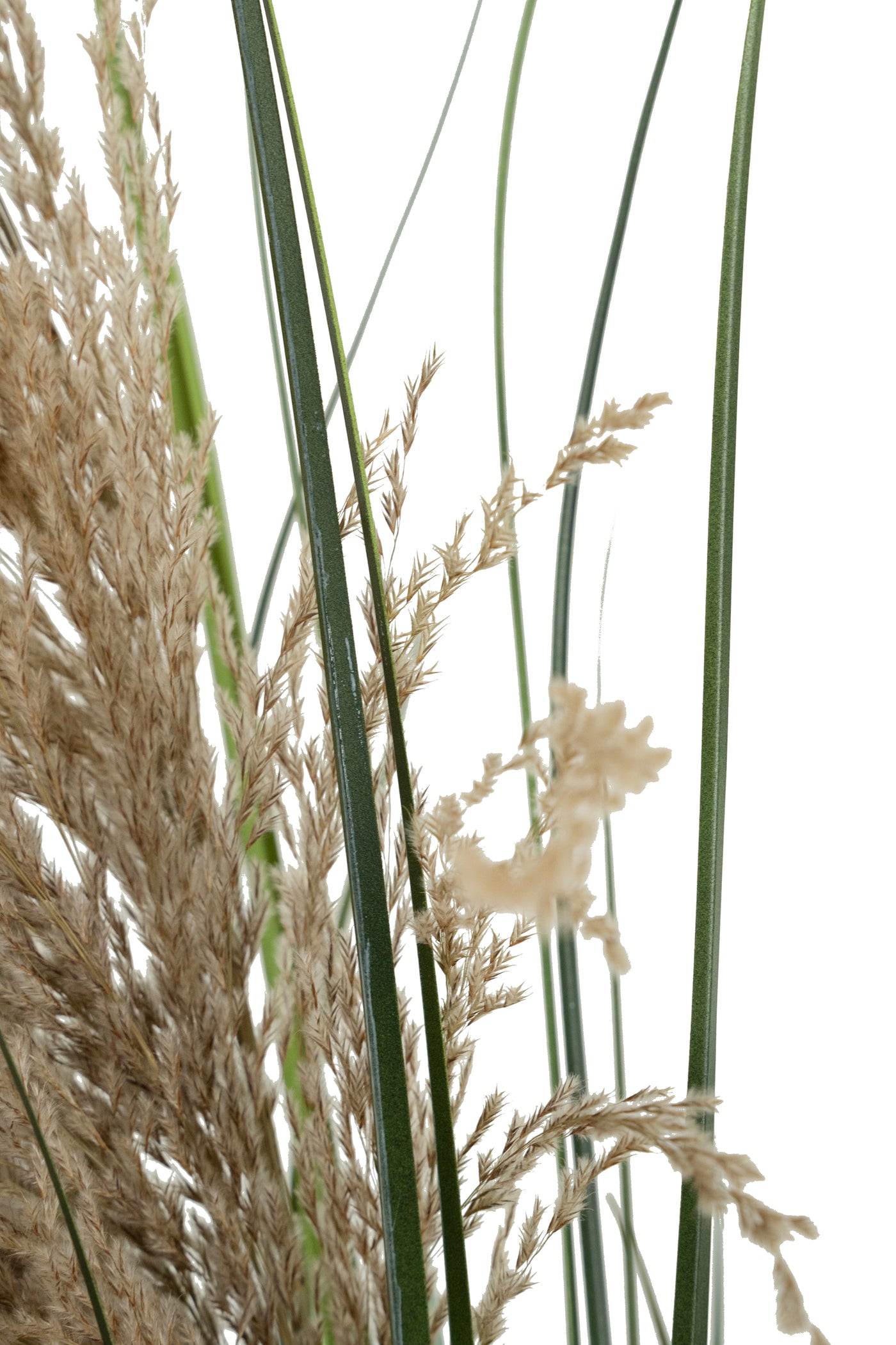 Spic iarba artificiala 140 cm cu 1 floare naturala de pampas bej deschis