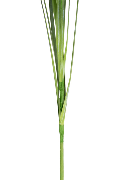Spic iarba artificiala 140 cm cu 1 floare naturala de pampas bej deschis