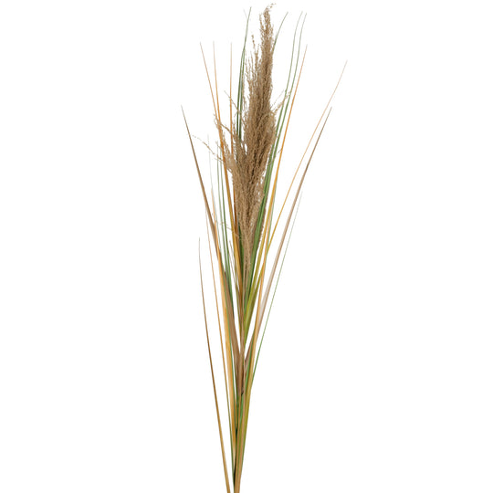 Spic iarba artificiala 180 cm cu 1 floare naturala de pampas bej