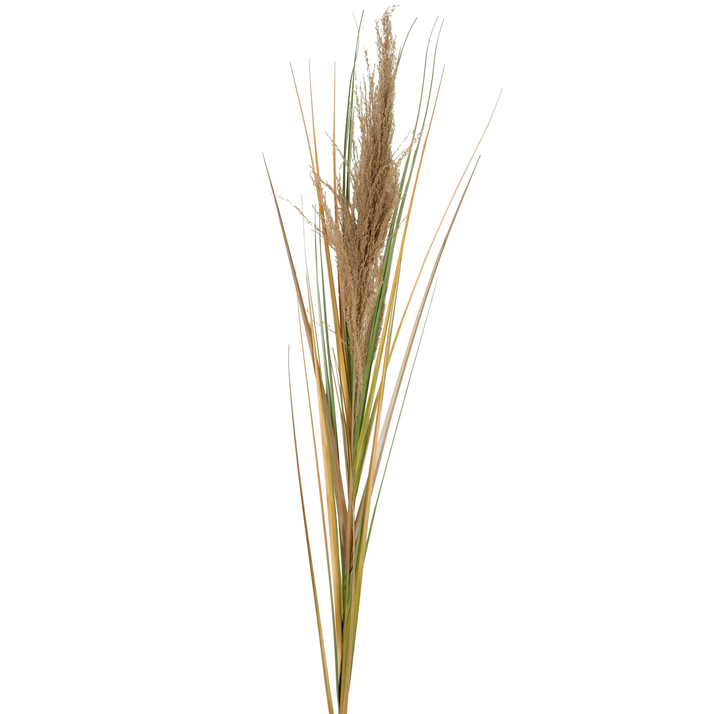 Spic iarba artificiala 180 cm cu 1 floare naturala de pampas bej