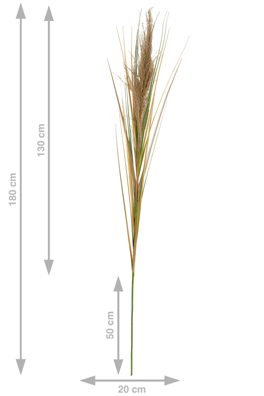 Spic iarba artificiala 180 cm cu 1 floare naturala de pampas bej