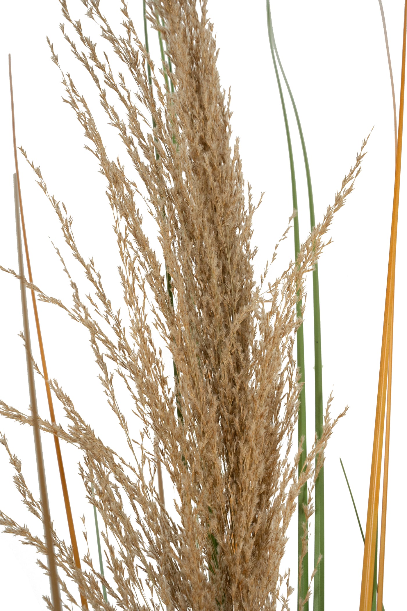 Spic iarba artificiala 180 cm cu 1 floare naturala de pampas bej