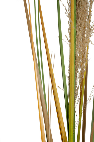 Spic iarba artificiala 180 cm cu 1 floare naturala de pampas bej