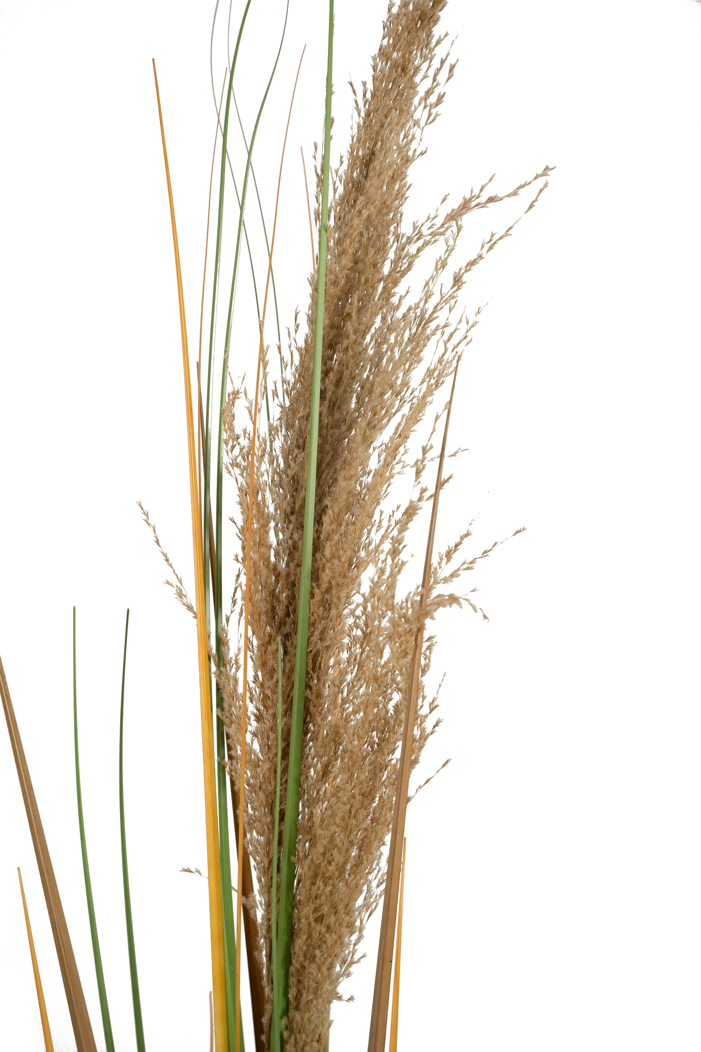 Spic iarba artificiala 180 cm cu 1 floare naturala de pampas bej