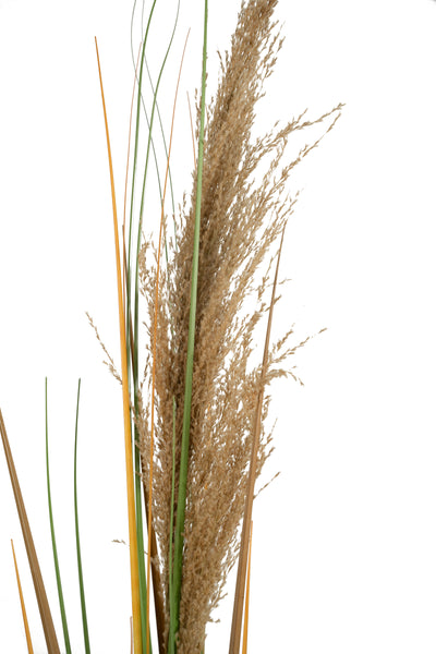 Spic iarba artificiala 180 cm cu 1 floare naturala de pampas bej