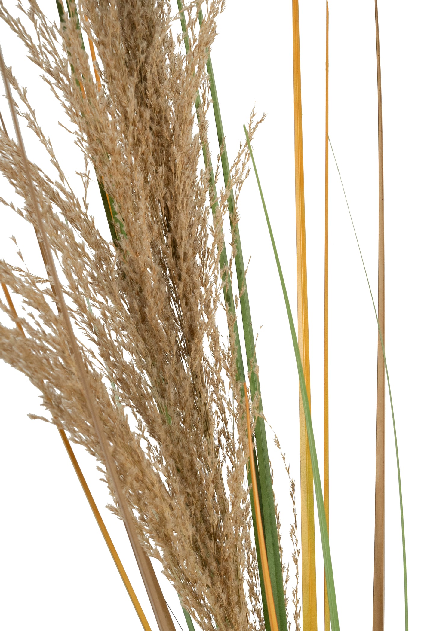 Spic iarba artificiala 180 cm cu 1 floare naturala de pampas bej