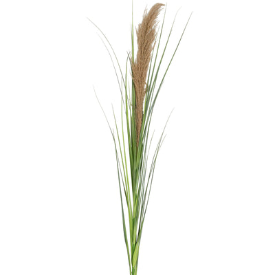 Spic iarba artificiala 180 cm cu 1 floare naturala de pampas bej deschis