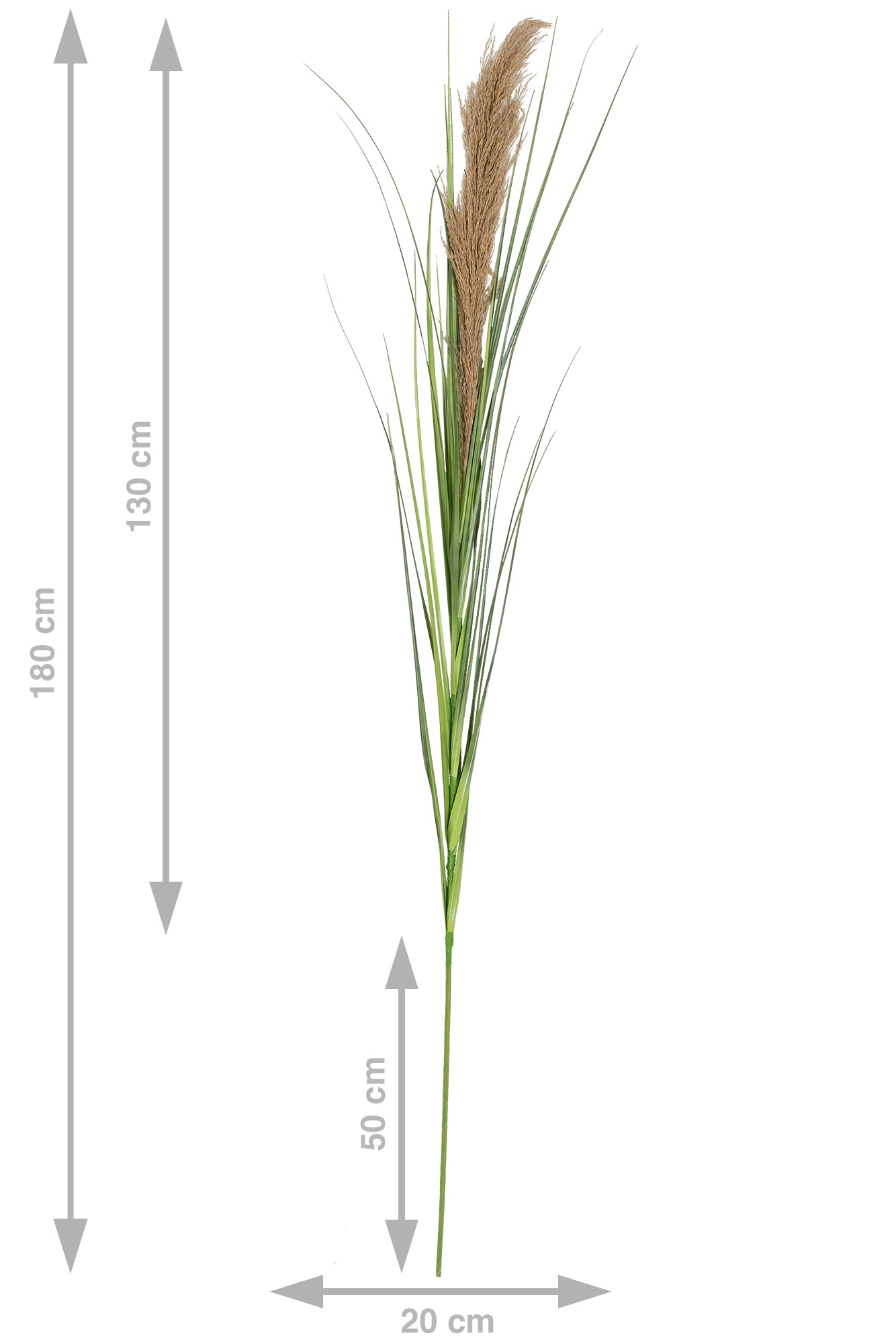 Spic iarba artificiala 180 cm cu 1 floare naturala de pampas bej deschis