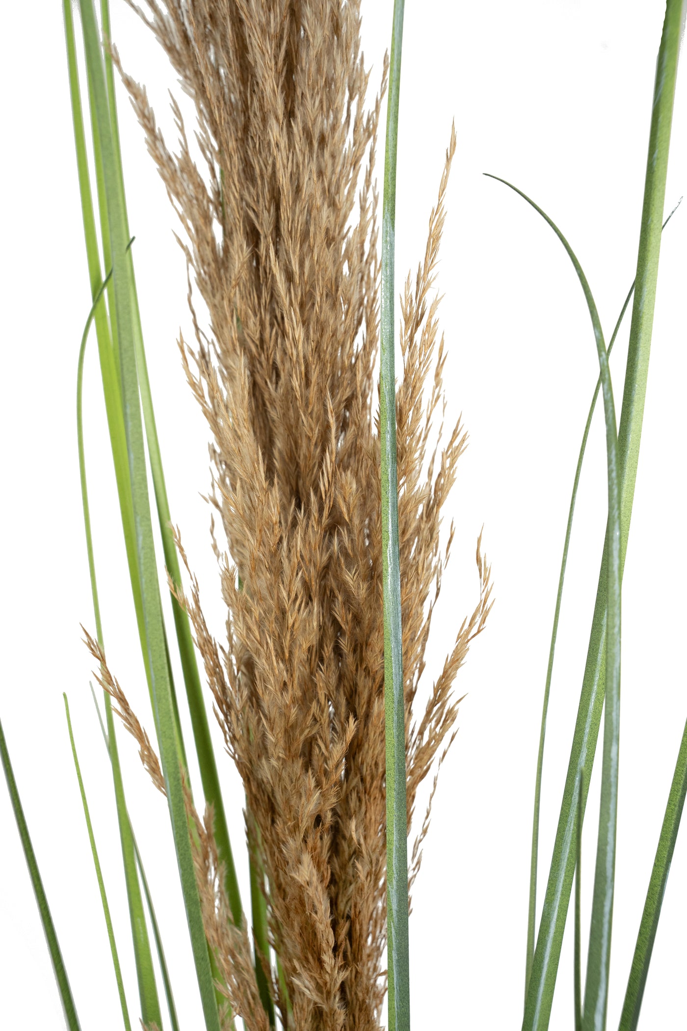 Spic iarba artificiala 180 cm cu 1 floare naturala de pampas bej deschis