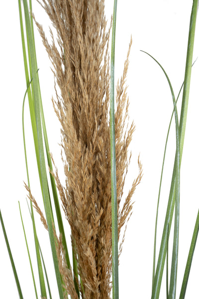 Spic iarba artificiala 180 cm cu 1 floare naturala de pampas bej deschis