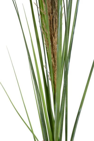 Spic iarba artificiala 180 cm cu 1 floare naturala de pampas bej deschis