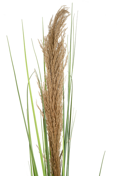Spic iarba artificiala 180 cm cu 1 floare naturala de pampas bej deschis