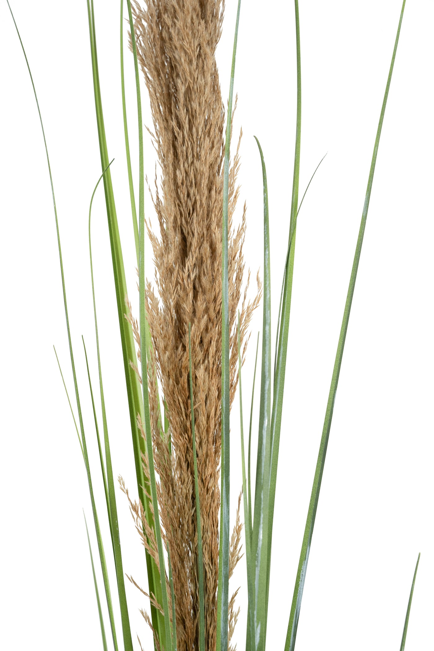 Spic iarba artificiala 180 cm cu 1 floare naturala de pampas bej deschis