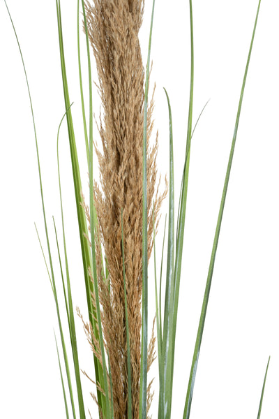 Spic iarba artificiala 180 cm cu 1 floare naturala de pampas bej deschis