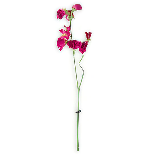 Sweet pea artificiala roz cyclame D5xH40 cm