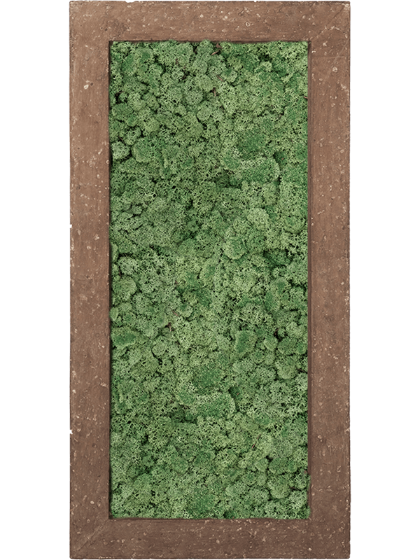 Tablou L100xW100xH5cm Polystone Rock 100% Reindeer Moss (Moss green)