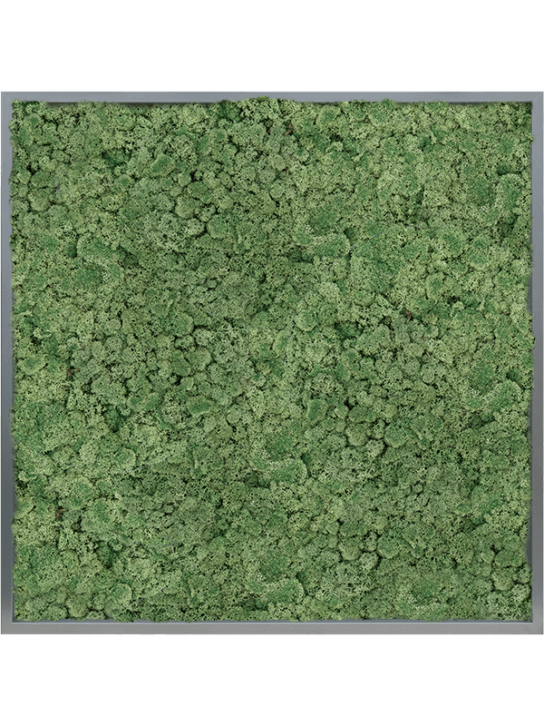 Tablou L100xW100xH6cm MDF RAL 7016 Satin Gloss 100% Reindeer moss (Moss green)