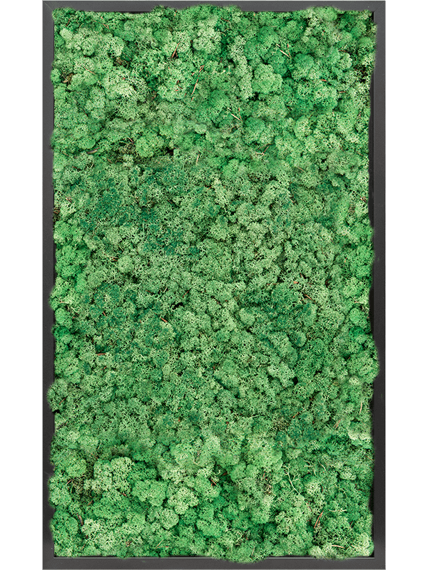 Tablou L100xW100xH6cm MDF RAL 9005 Satin Gloss 100% Reindeer moss (Grass Green)