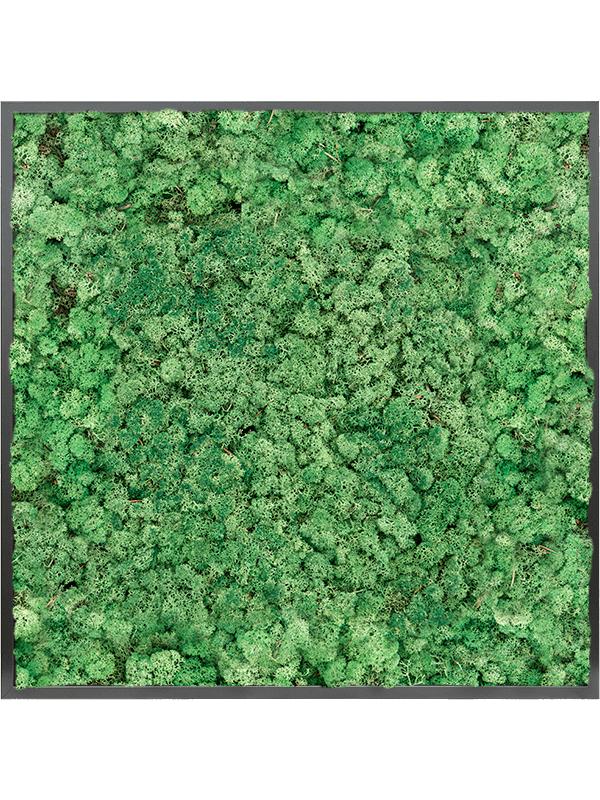 Tablou L100xW100xH6cm MDF RAL 9005 Satin Gloss 100% Reindeer moss (Grass Green)
