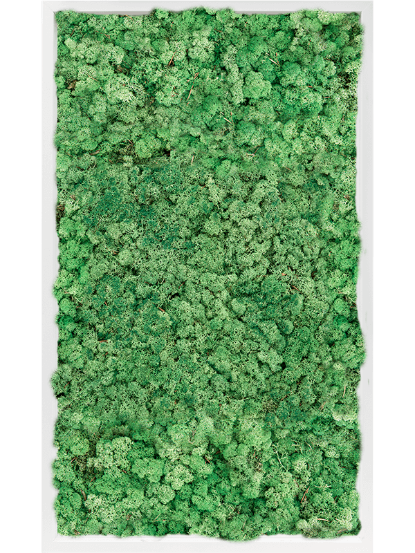 Tablou L100xW100xH6cm MDF RAL 9010 Satin Gloss 100% Reindeer Moss (Grass green)