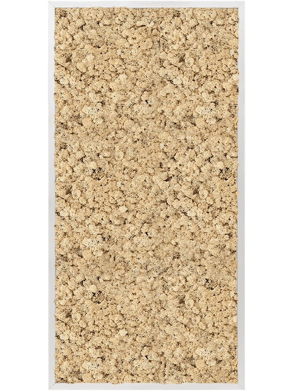 Tablou L120xW120xH6cm Aluminum 100% Reindeer moss (Natural)