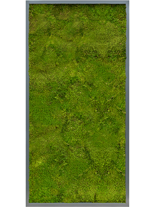 Tablou L120xW120xH6cm MDF RAL 7016 Satin Gloss 100% Flat moss