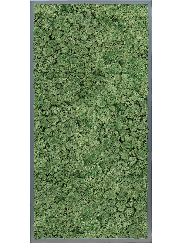 Tablou L120xW120xH6cm MDF RAL 7016 Satin Gloss 100% Reindeer moss (Moss green)
