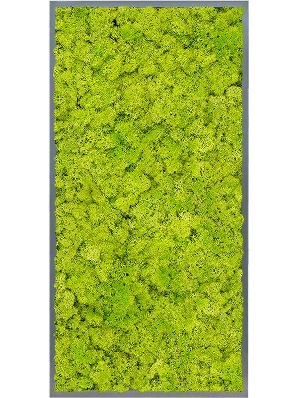 Tablou L120xW120xH6cm MDF RAL 7016 Satin Gloss 100% Reindeer moss (Spring green)