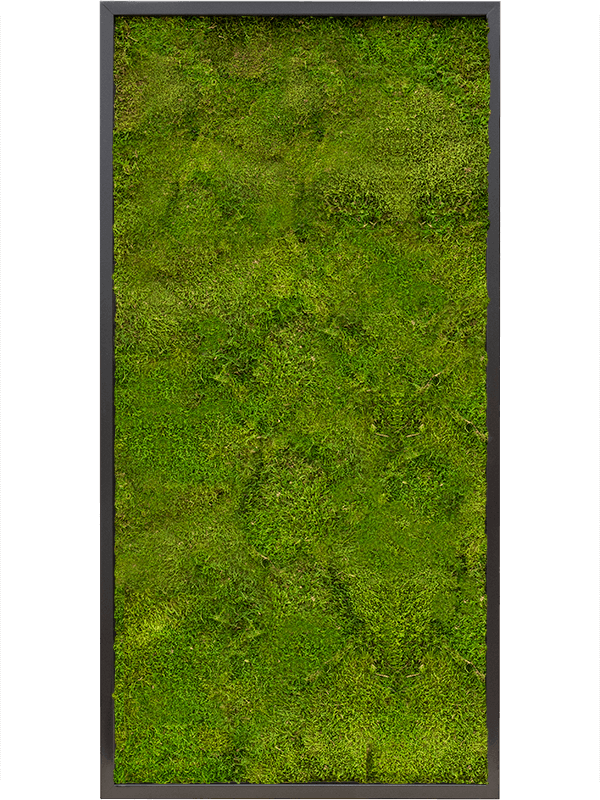 Tablou L120xW120xH6cm MDF RAL 9005 Satin Gloss 100% Flat moss