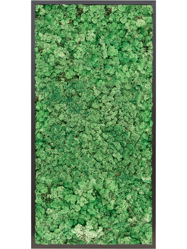 Tablou L120xW120xH6cm MDF RAL 9005 Satin Gloss 100% Reindeer moss (Grass Green)