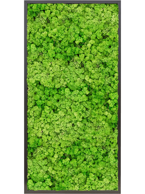 Tablou L120xW120xH6cm MDF RAL 9005 Satin Gloss 100% Reindeer moss (Light Grass Green)