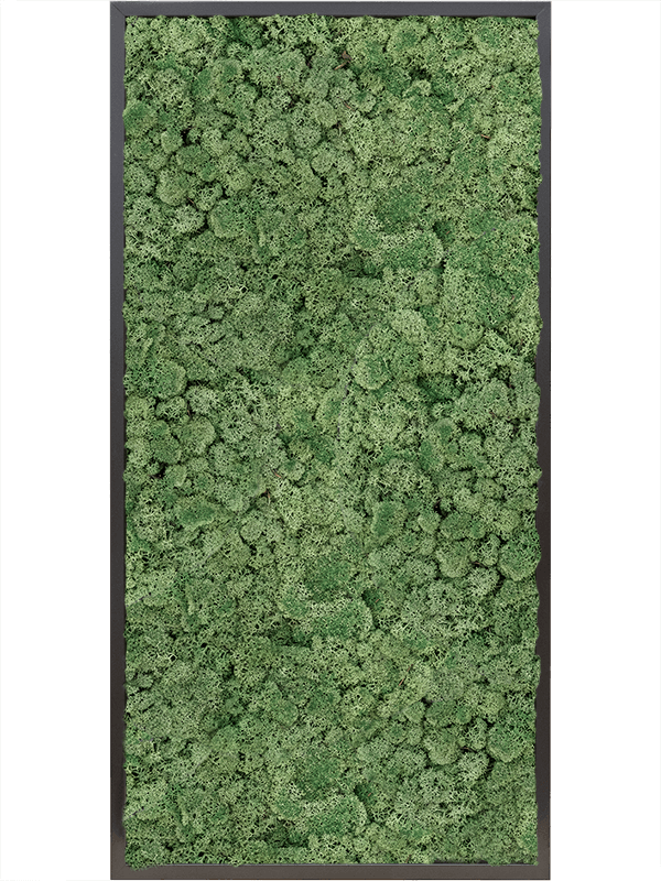 Tablou L120xW120xH6cm MDF RAL 9005 Satin Gloss 100% Reindeer moss (Moss green)