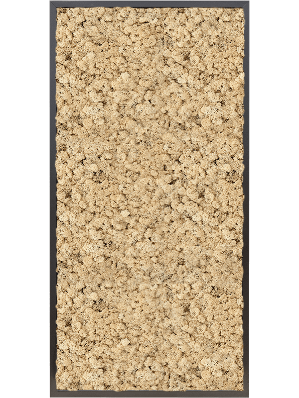 Tablou L120xW120xH6cm MDF RAL 9005 Satin Gloss 100% Reindeer moss (Natural)