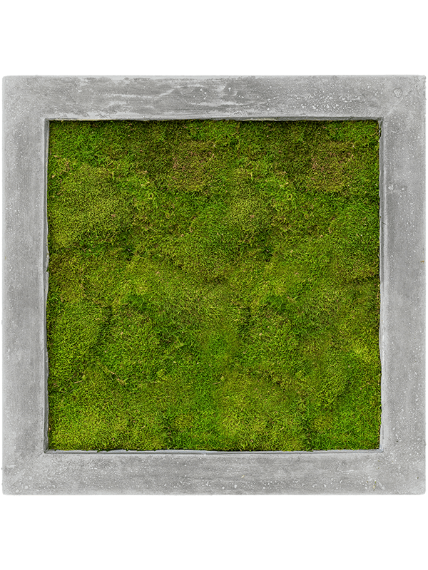 Tablou L50xW50xH5cm Polystone Raw Grey 100% Flat moss