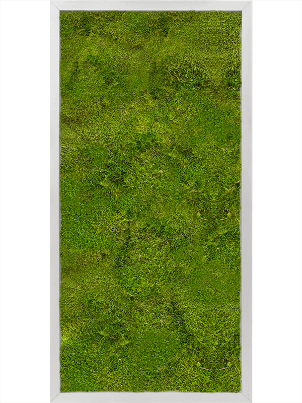 Tablou L80xW80xH6cm Aluminum 100% Flat moss